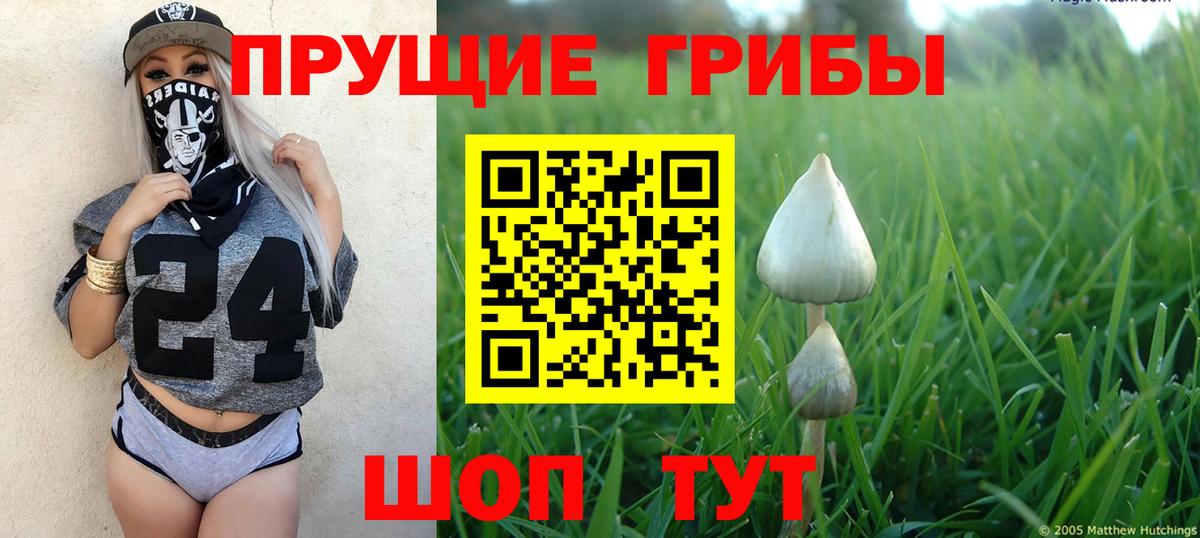 Галлюциногенные грибы MAGIC MUSHROOMS  Псилоцибиновые грибы прущие грибы  Вход с VPN  Нарьян-Мар 